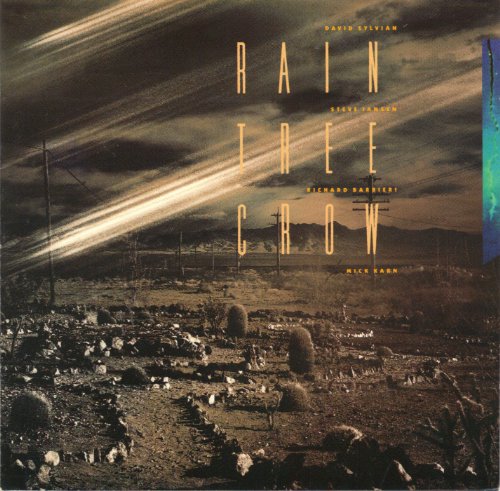 RAIN TREE CROW - RAIN TREE CROW