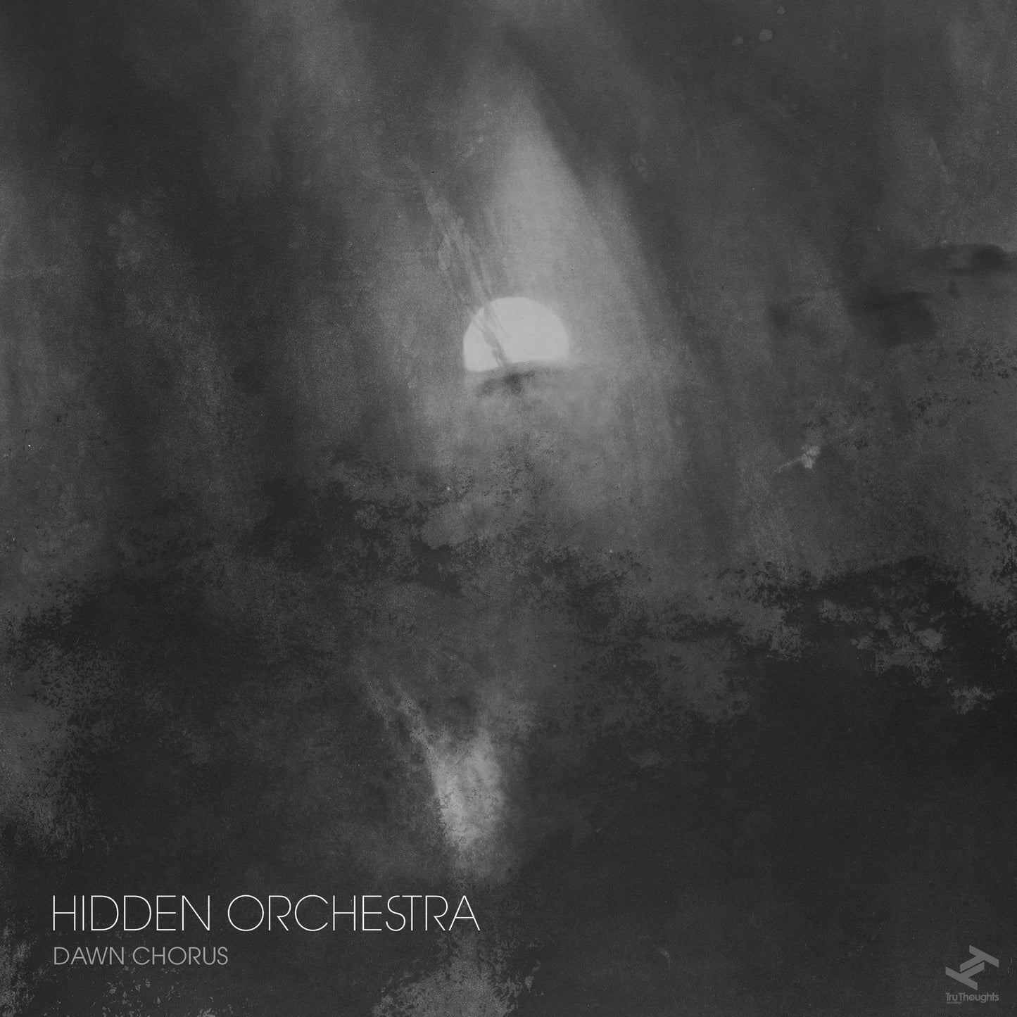 HIDDEN ORCHESTRA - DAWN CHORUS