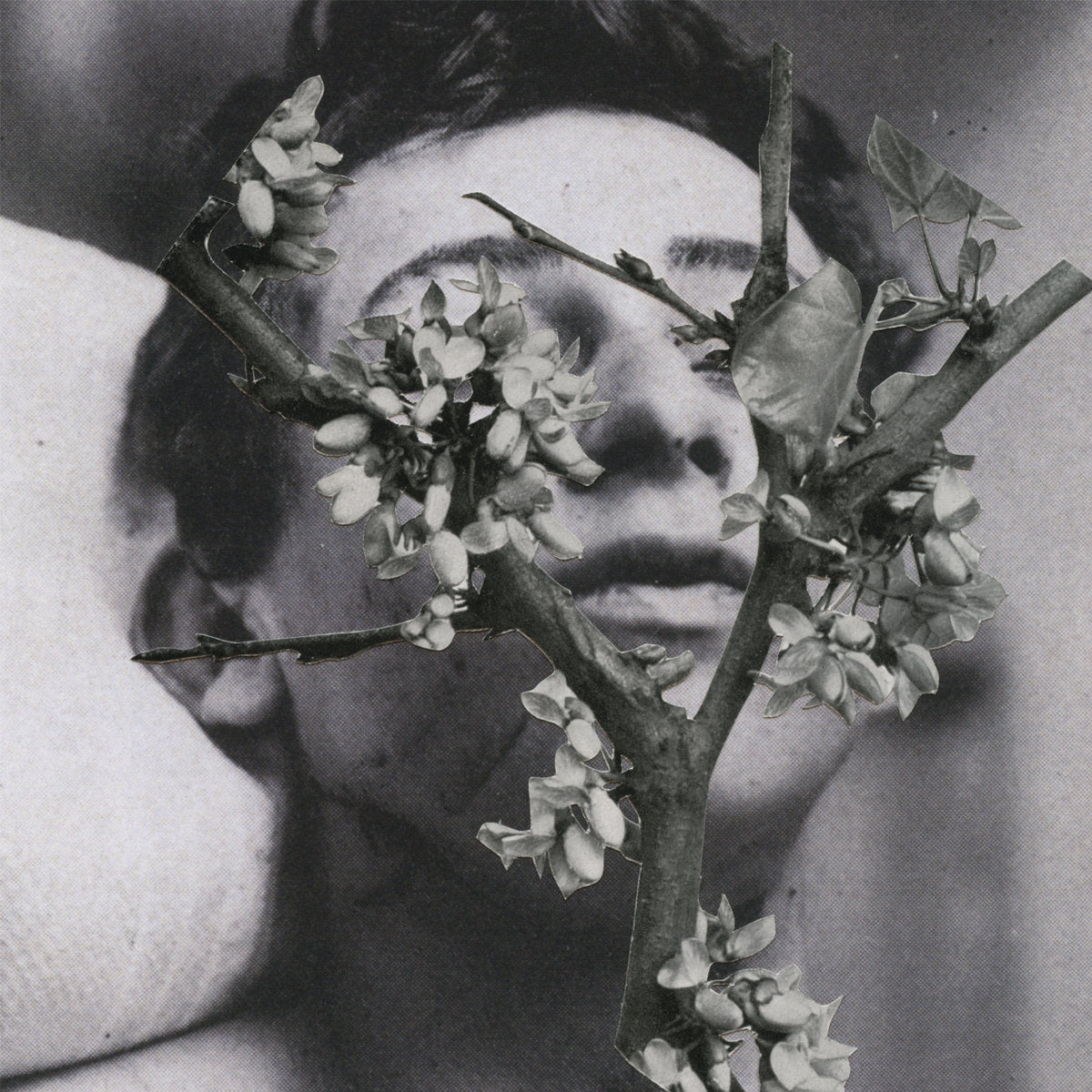 MANES - SLOW MOTION DEATH SEQUENCE