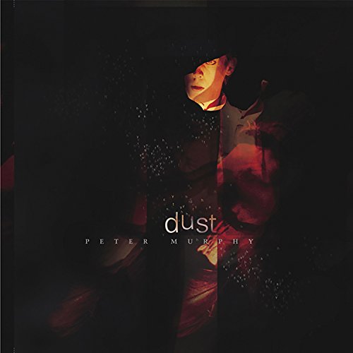 MURPHY, PETER (BAUHAUS) - DUST