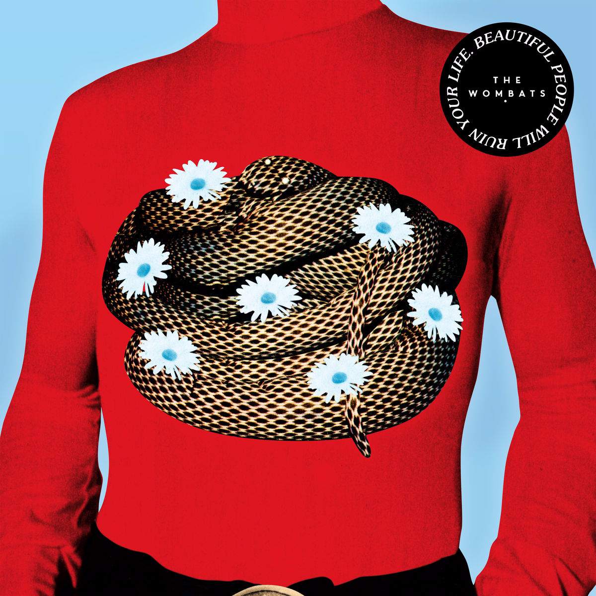 WOMBATS - BEAUTIFUL PEOPLE WILL RUIN YOUR LIFE
