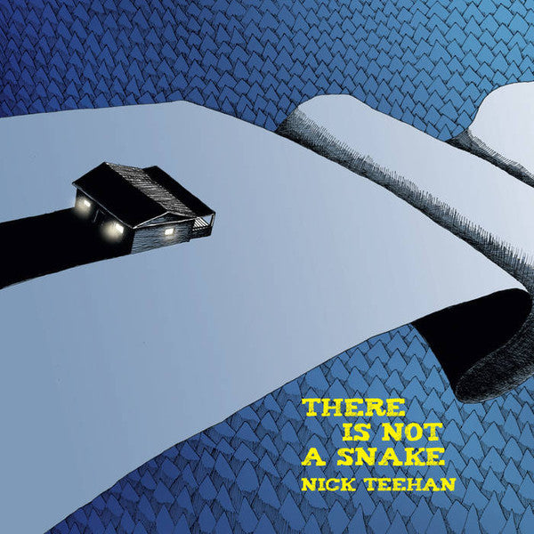 TEEHAN, NICK - THERE IS NOT A SNAKE