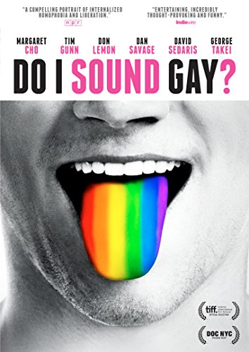 DO I SOUND GAY? - DVD-DOCUMENTARY