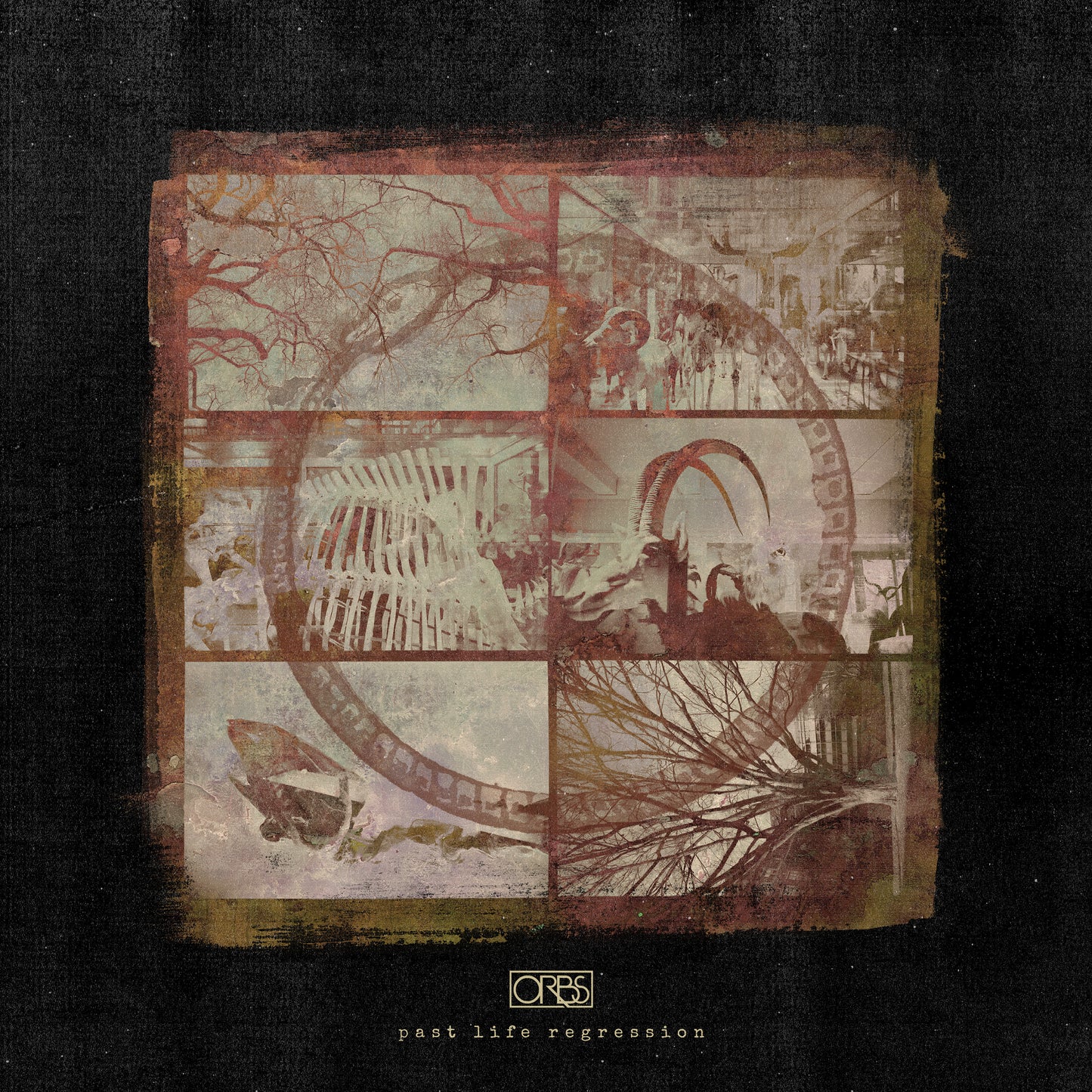 ORBS - PAST LIFE REGRESSION