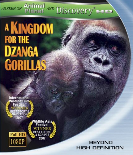 A KINGDOM FOR THE DZANGA GORILLAS - BLU