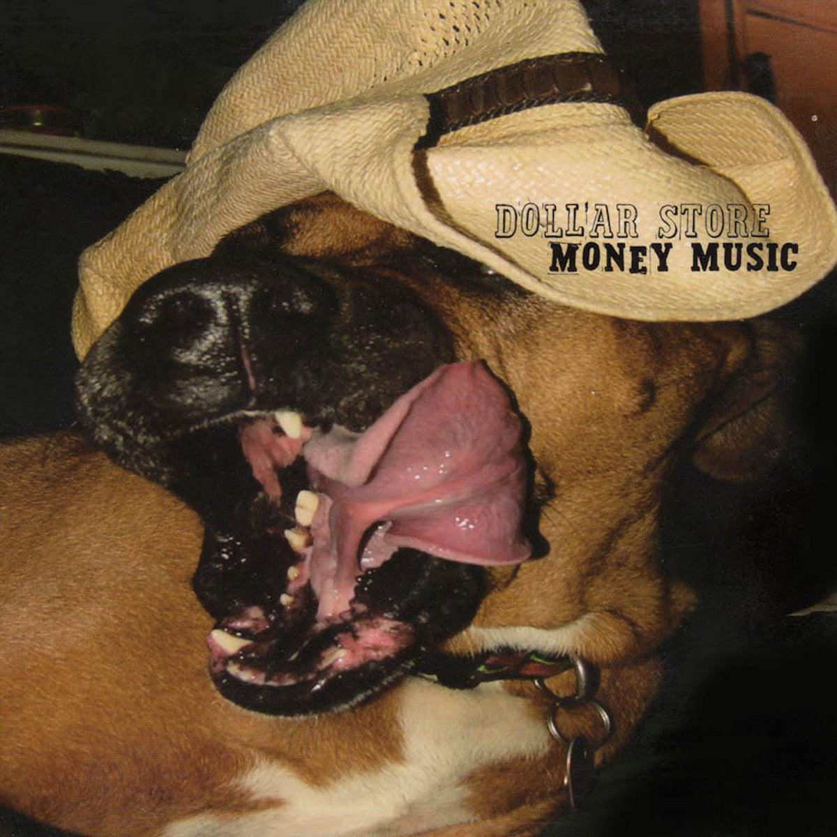 DOLLAR STORE - MONEY MUSIC