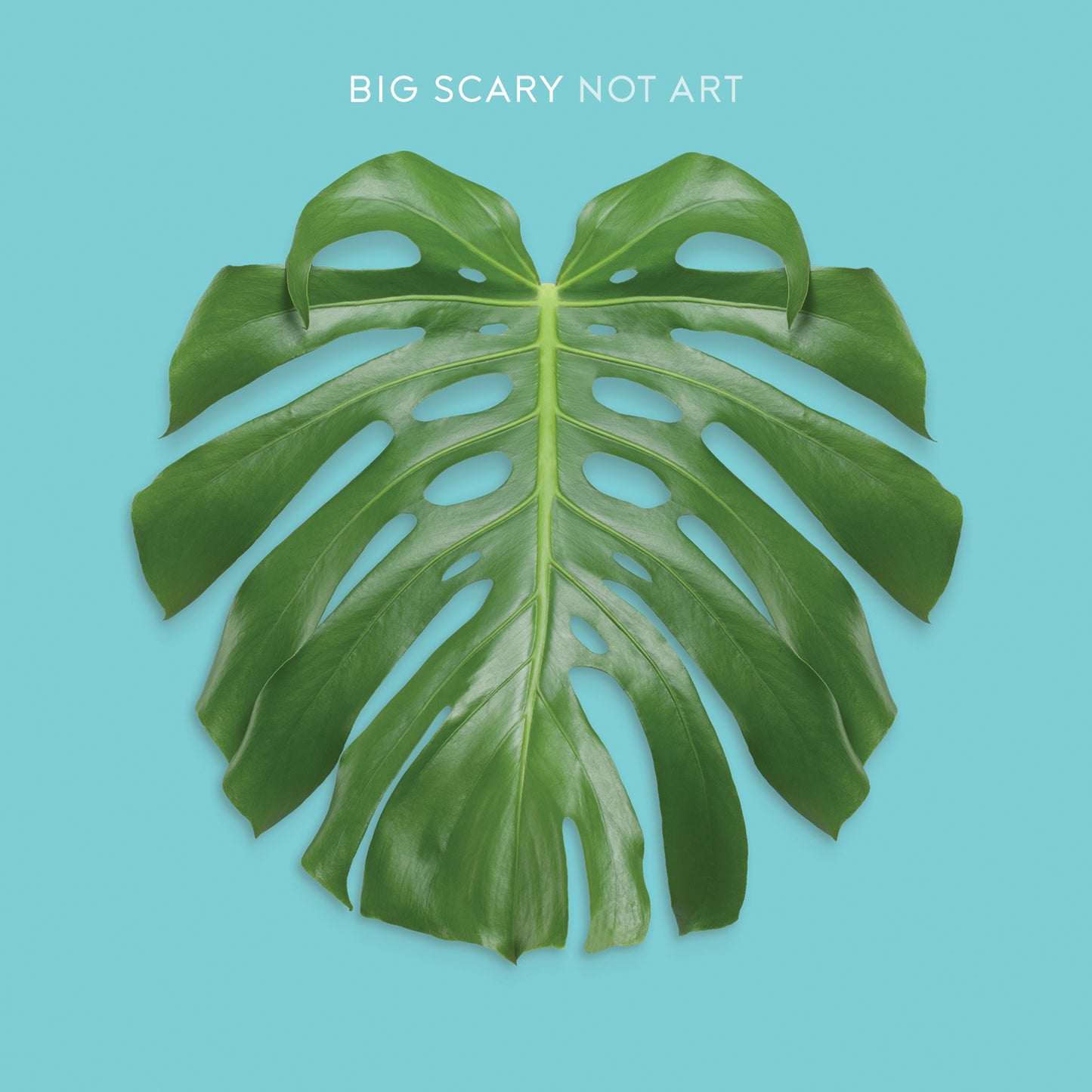 BIG SCARY - NOT ART