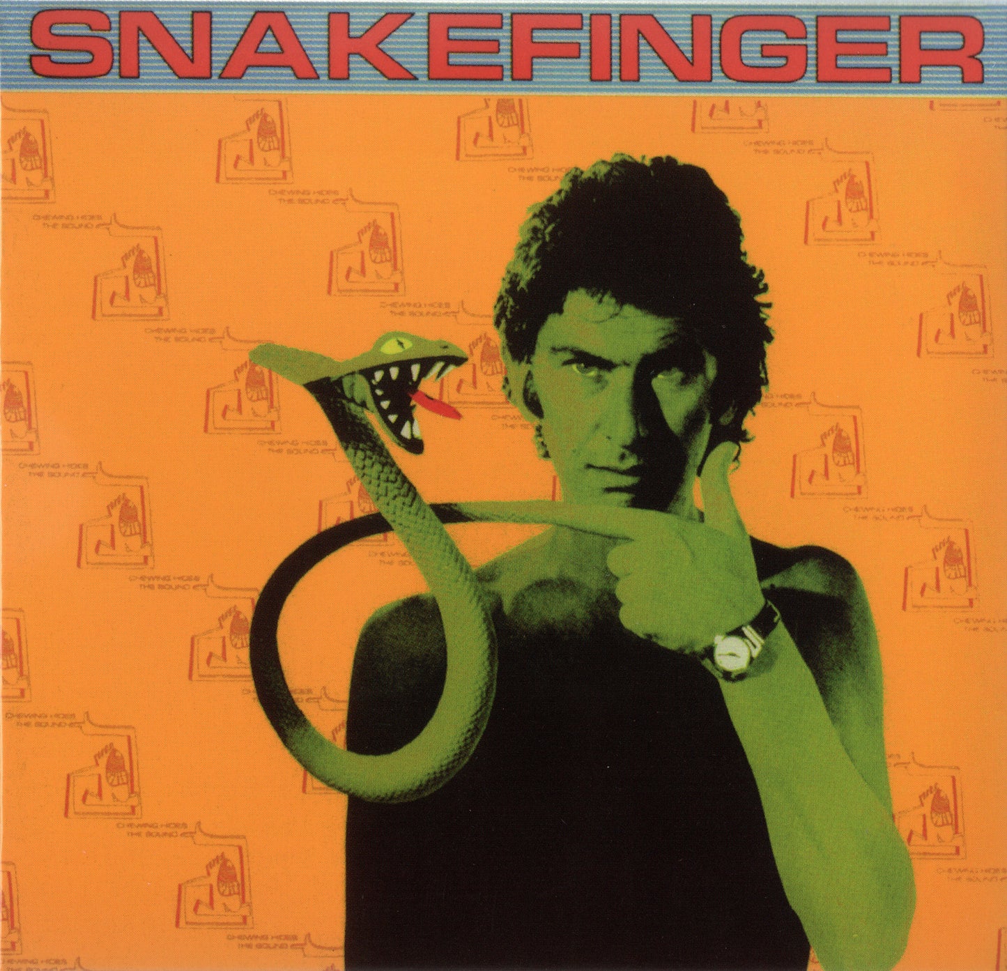 SNAKEFINGER - CHEWING HIDES THE SOUND