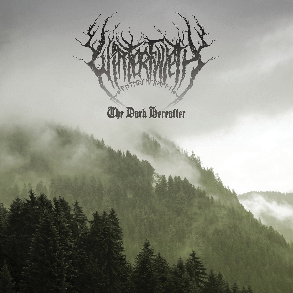 WINTERFYLLETH - DARK HEREAFTER (LTD DIGI)