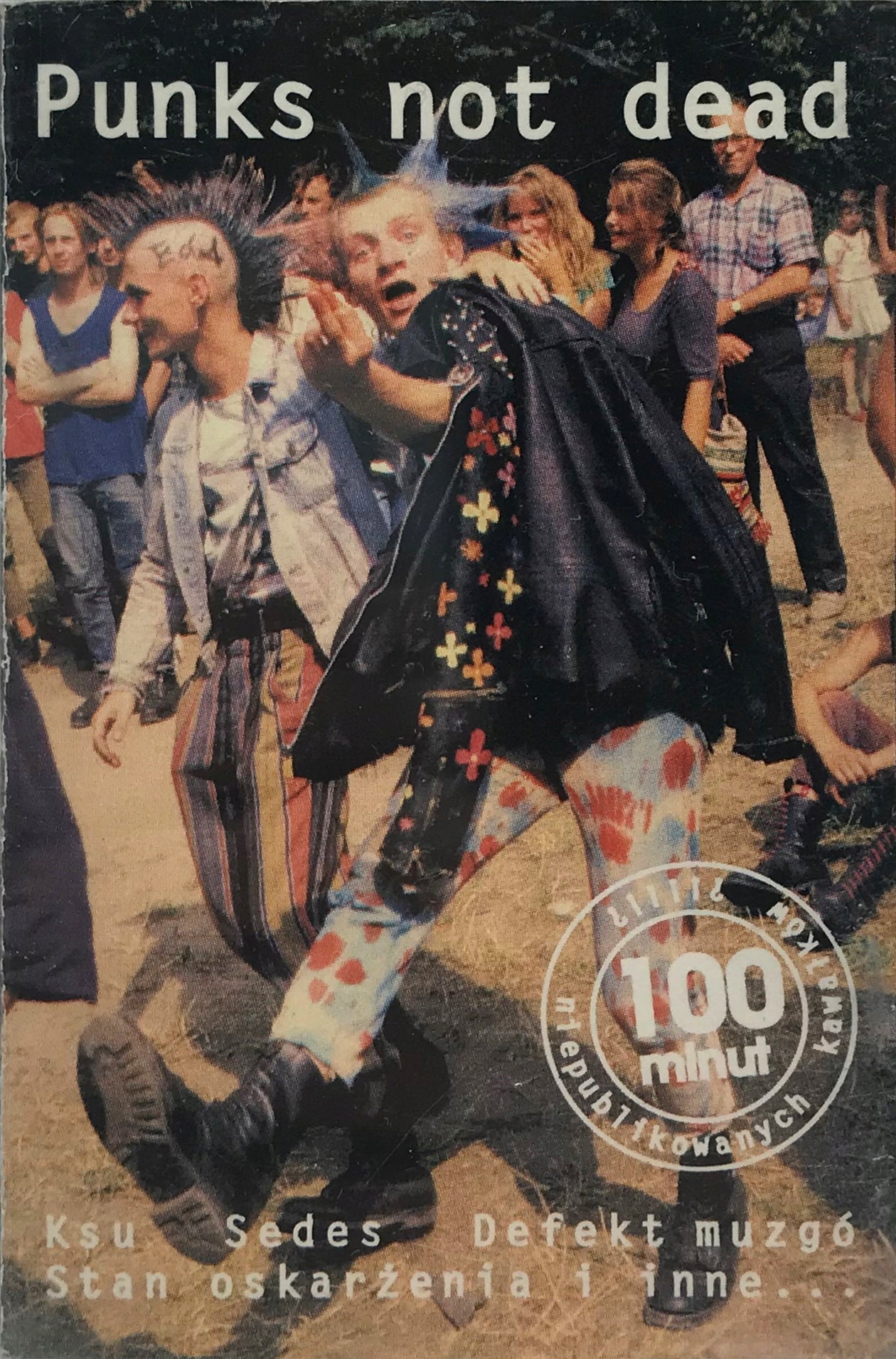 VARIOUS - PUNKS NOT DEAD