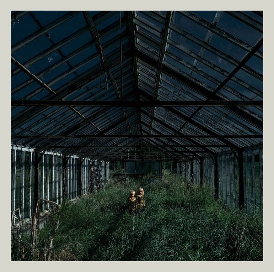 FOXING - DEALER