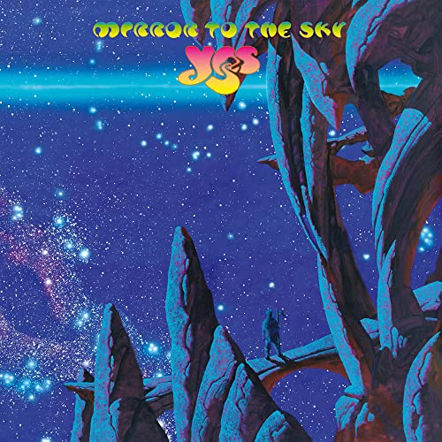 YES - MIRROR TO THE SKY