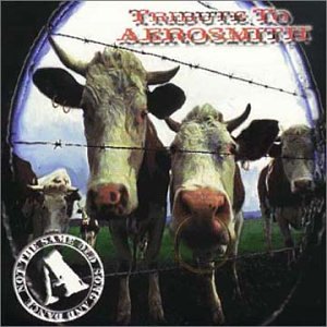AEROSMITH (TRIBUTE) - TRIBUTE TO AEROSMITH - NOT THE SAME OLD SONG AND DANCE