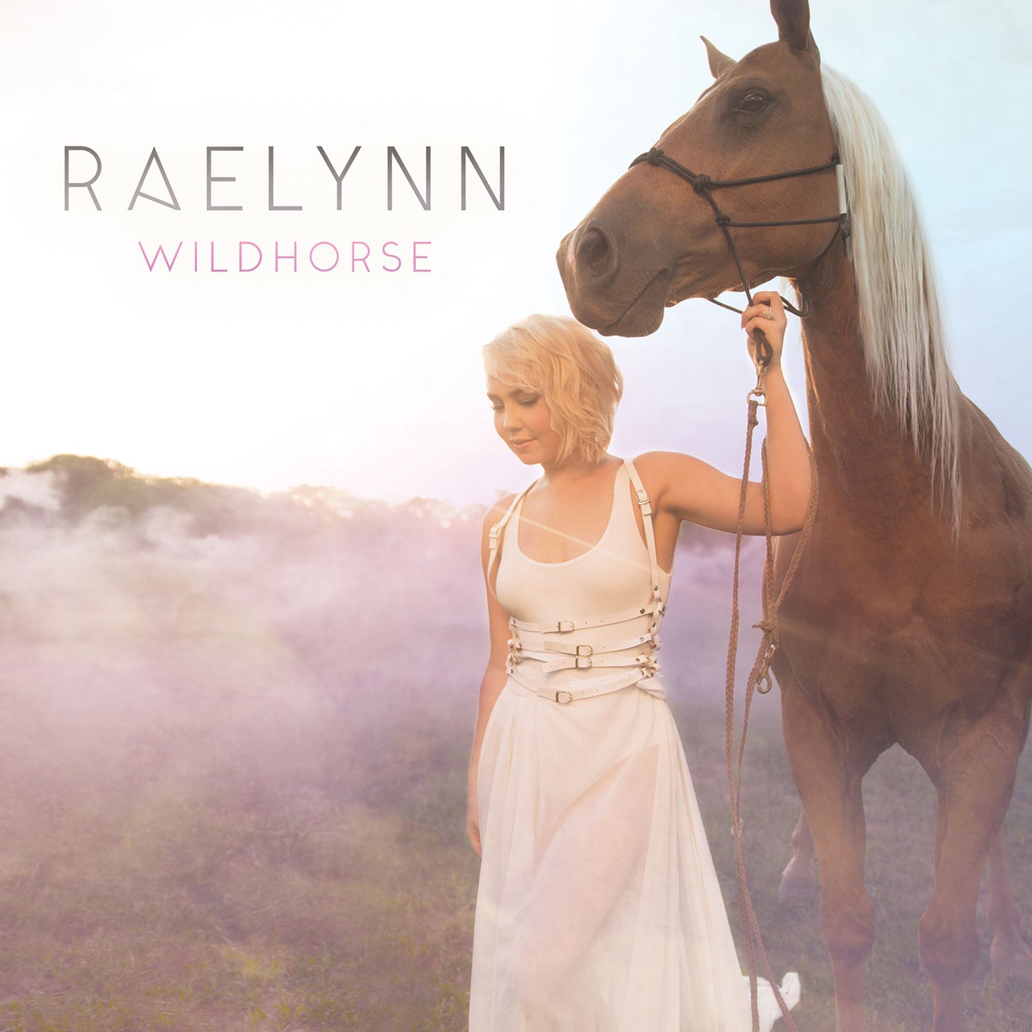 RAELYNN - WILDHORSE