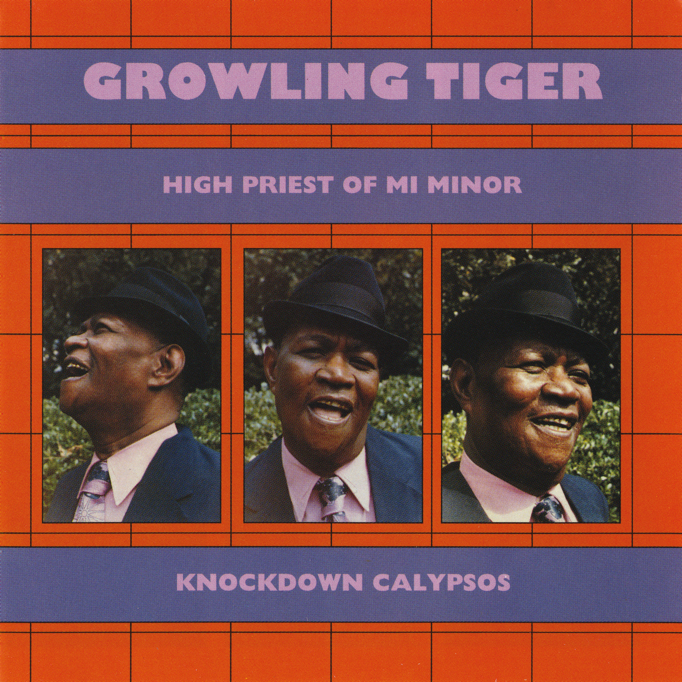 GROWLING TIGER - KNOCKDOWN CALYPSOS