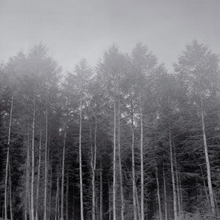 SKELTON, RICHARD - LANDINGS