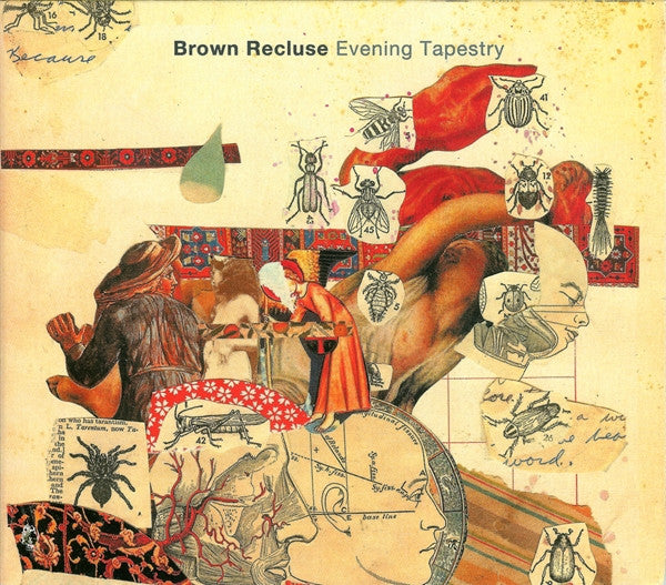 BROWN RECLUSE - EVENING TAPESTRY