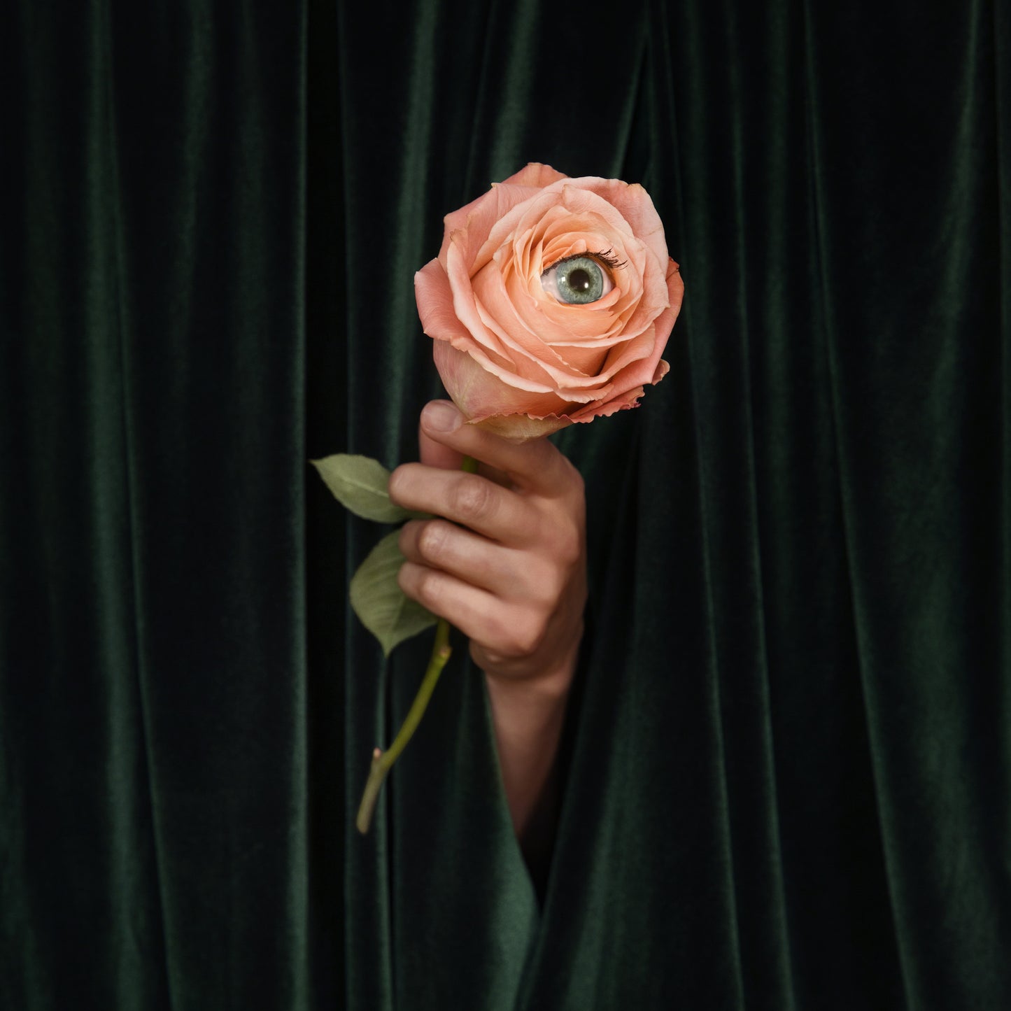 MARIAN HILL - UNUSUAL