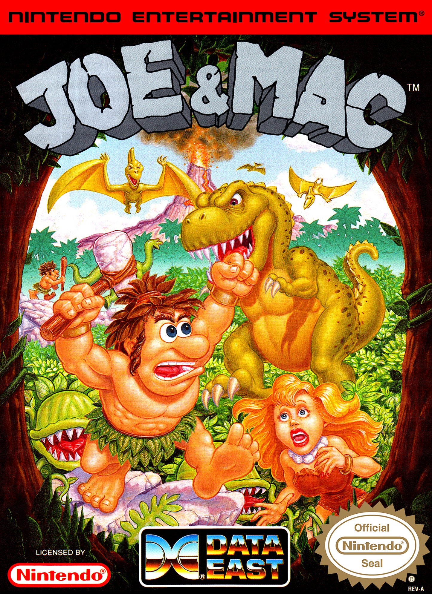 JOE & MAC - NES (W/BOX & MANUAL)