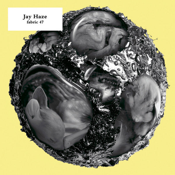 HAZE, JAY - FABRIC V47