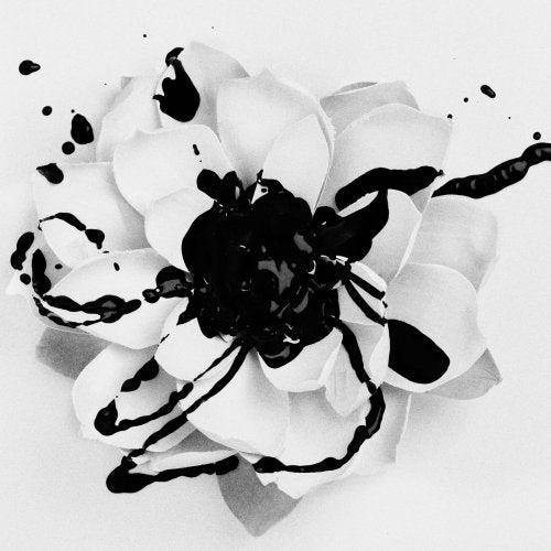 EYES SET TO KILL - WHITE LOTUS