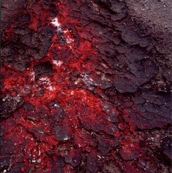 MENCHE, DANIEL - TERR PAROXYSM