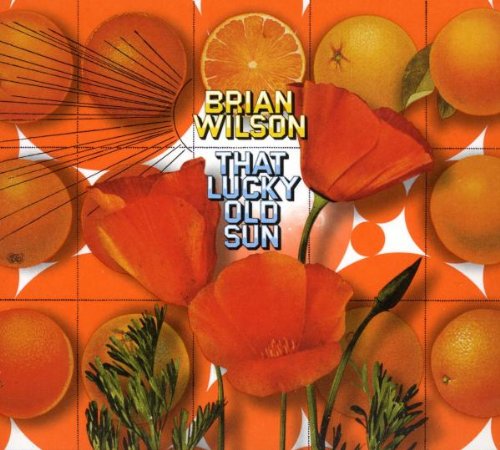 WILSON, BRIAN - NEW BRIAN WILSON - THAT LUCKY OLD SUN (CD)