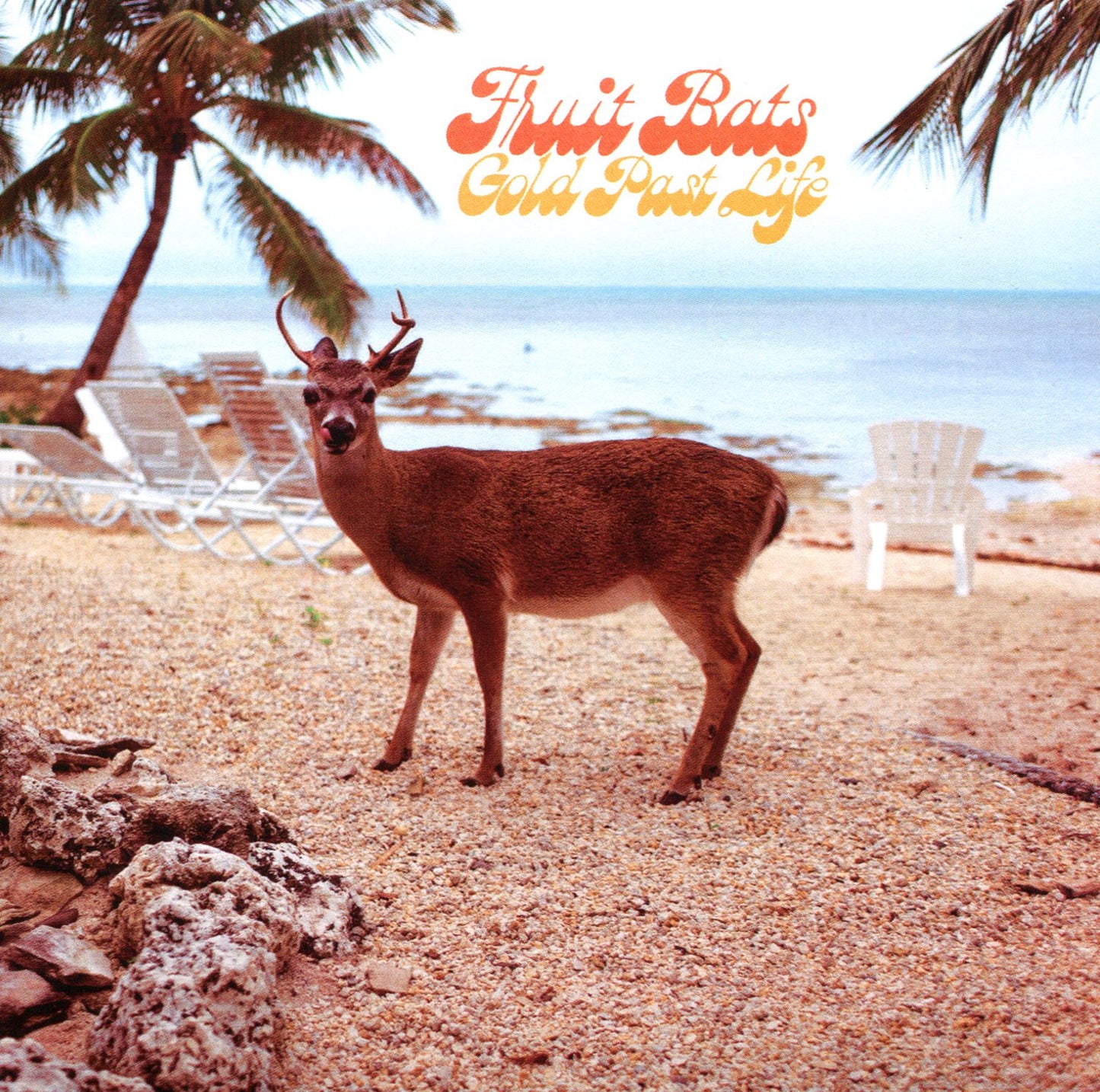 FRUIT BATS - GOLD PAST LIFE