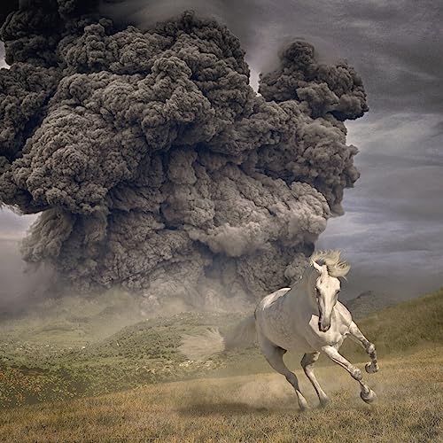 WHITE BUFFALO - YEAR OF THE DARK HORSE