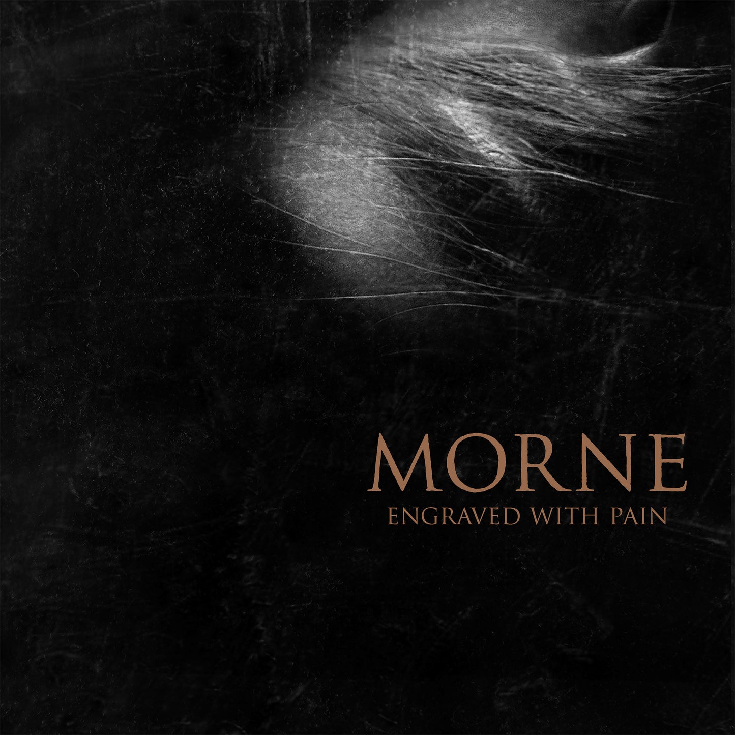 MORNE - ENGRAVED WITH PAIN