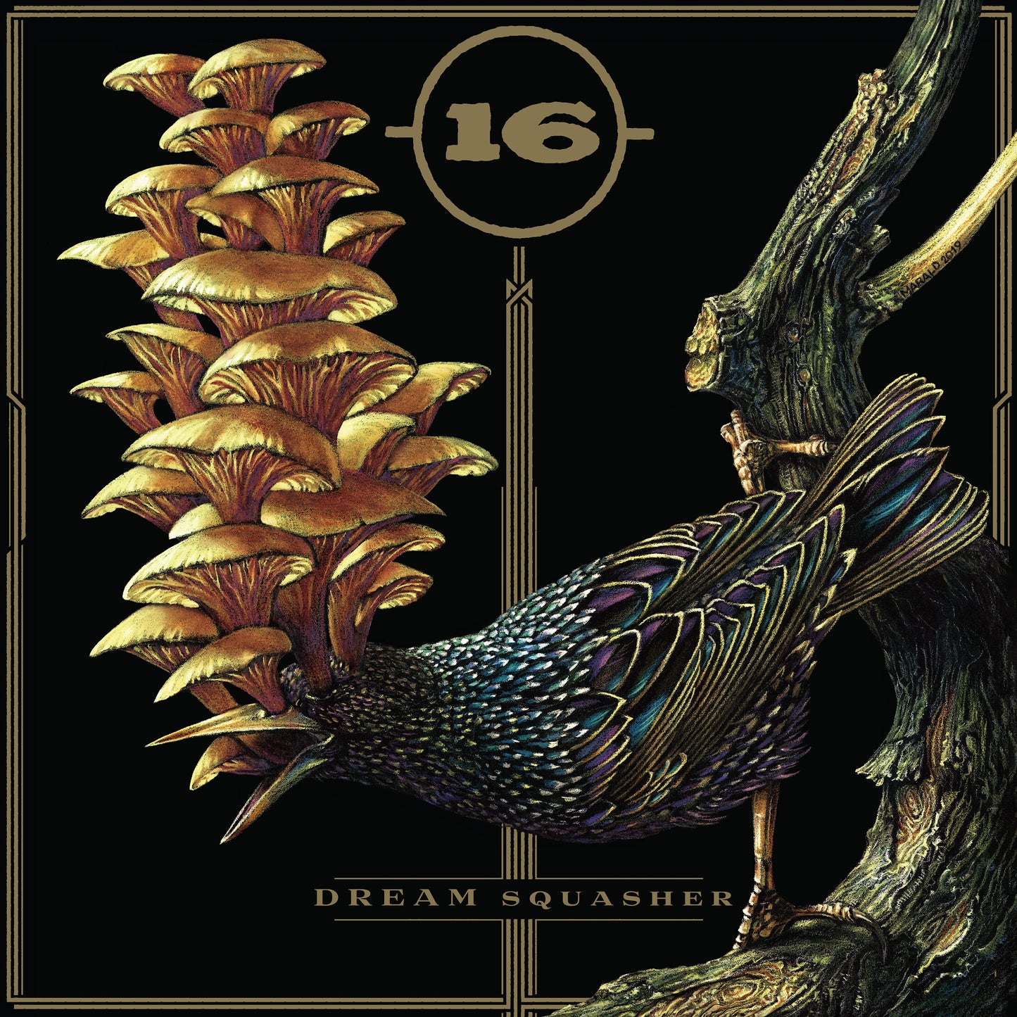 16 - DREAM SQUASHER