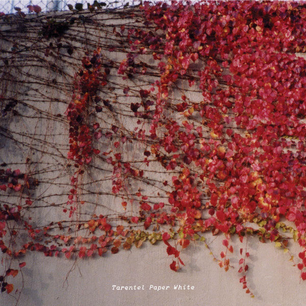 TARENTEL - PAPER WHITE (EP)