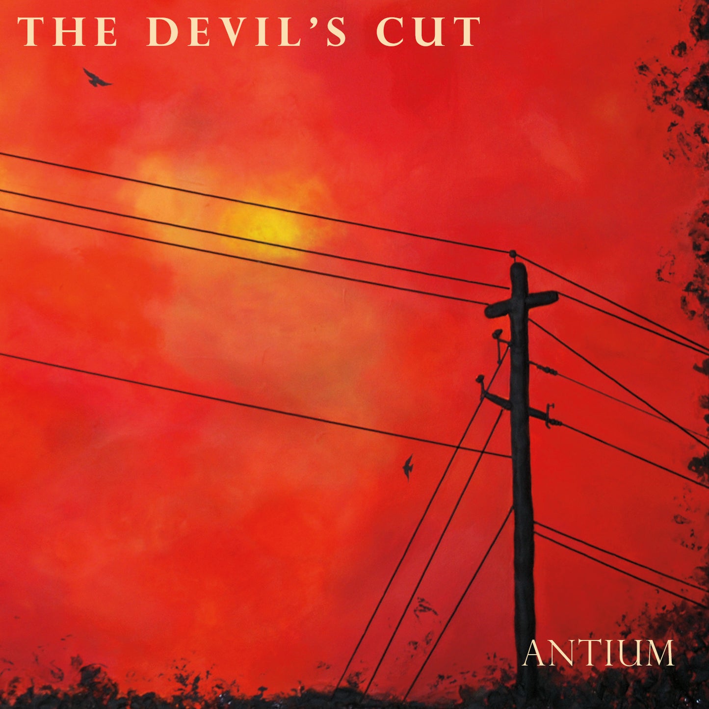 DEVIL'S CUT - ANTIUM