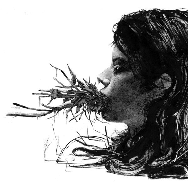 PARENTHETICAL GIRLS - ENTANGLEMENTS