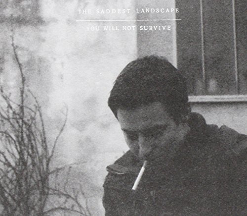 SADDEST LANDSCAPE - YOU WILL NOT SURVIVE