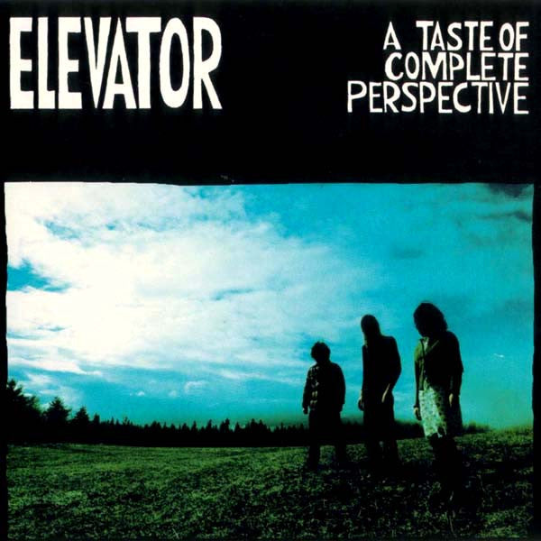 ELEVATOR - A TASTE OF COMPLETE PERSPECTIVE