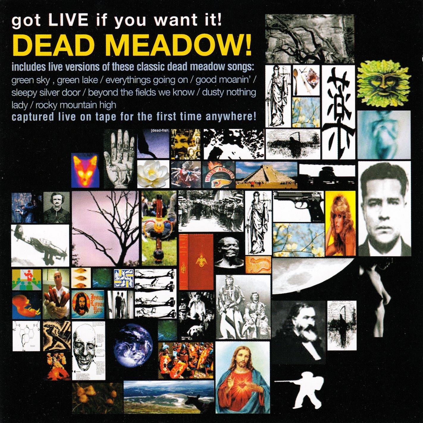 DEAD MEADOW - GOT LIVE IF YOU WANT IT