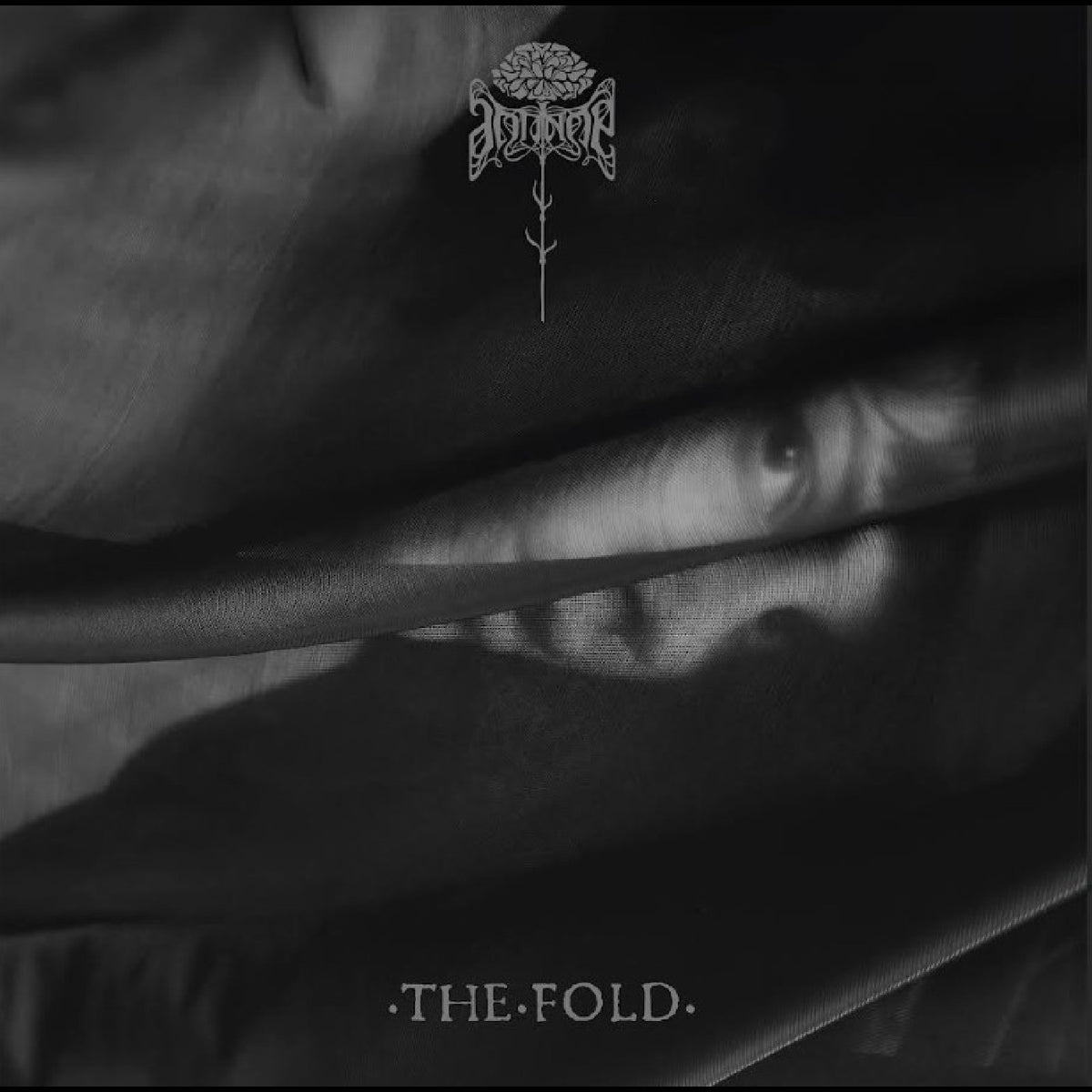 ANTINOË - THE FOLD