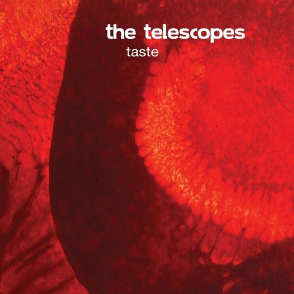TELESCOPES - TASTE