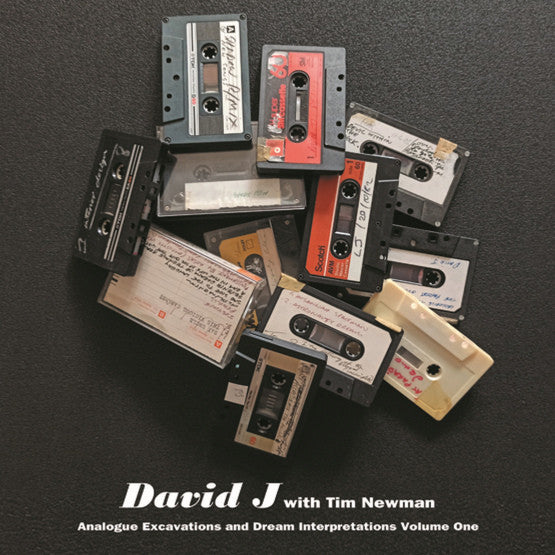 DAVID J WITH TIM NEWMAN (11) - ANALOGUE EXCAVATIONS AND DREAM INTERPRETATION VOLUME ONE