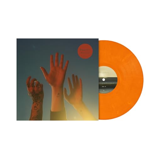 BOYGENIUS - THE RECORD (VINYL)
