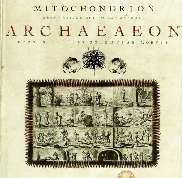 MITOCHONDRION - ARCHAEAON