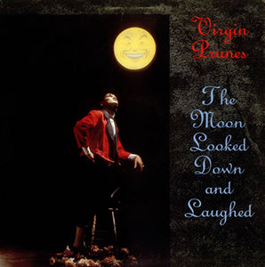 VIRGIN PRUNES - MOON LOOKED DOWN & LAUGHED