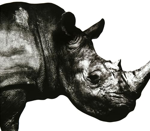 MR. CHILDREN - MR. CHILDREN (1992-1995)