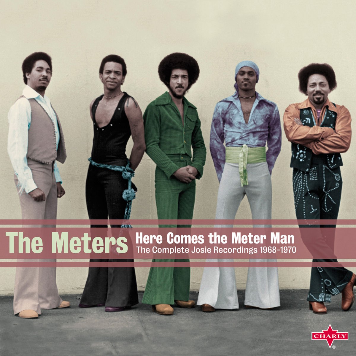 METERS - HERE COMES THE METER MAN