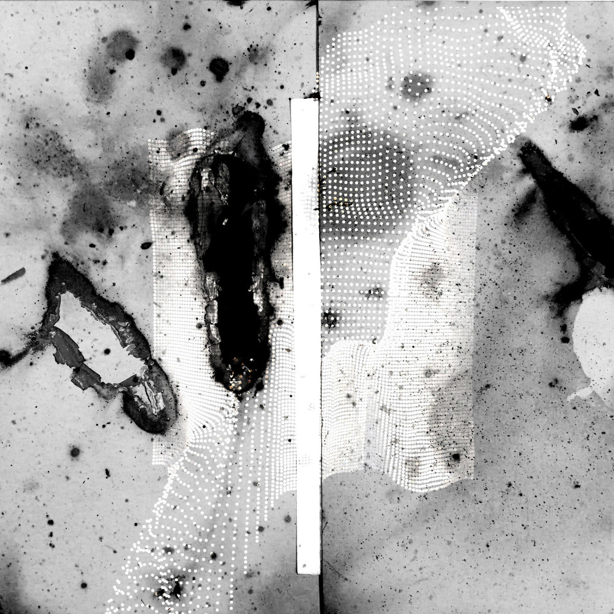 CERTAIN CREATURES - VIPASSANA