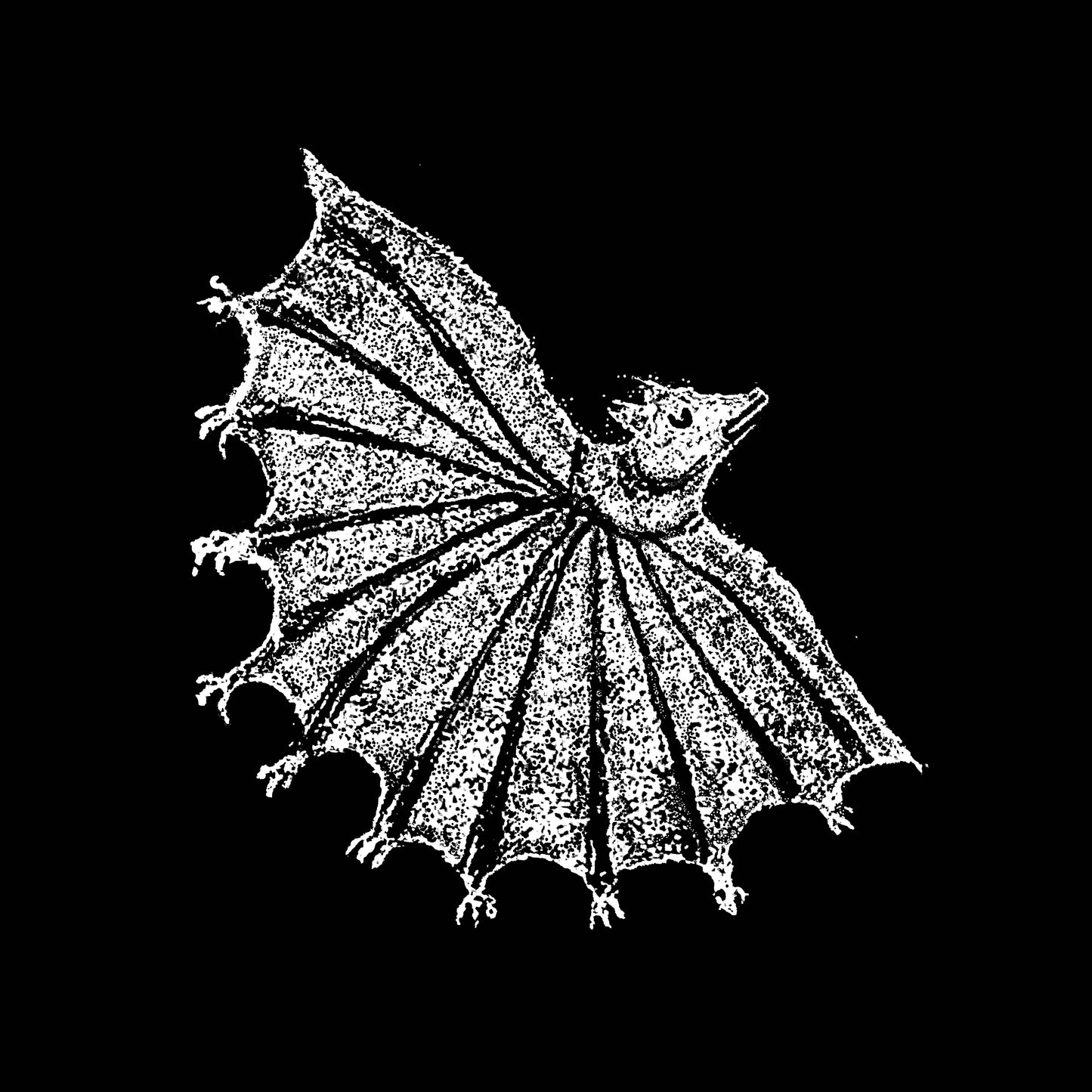 XIU XIU - IGNORE GRIEF