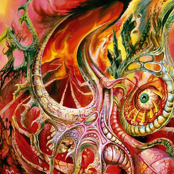 MORBUS CHRON - SLEEPERS IN THE RIFT