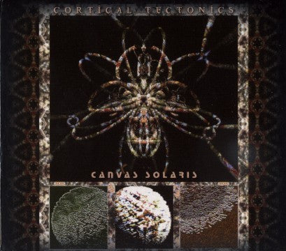 CANVAS SOLARIS - CORTICAL TECTONICS