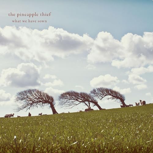 PINEAPPLE THIEF - WHAT WE HAVE SOWN